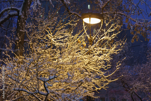 Snow covered trees and street lanterns in the city in winter. Beautiful winter in Moscow.