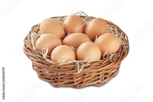 Wallpaper Mural Chicken egg on a white background. Egg close-up for designers. Torontodigital.ca