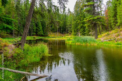 Creek outlet coming out of the lake