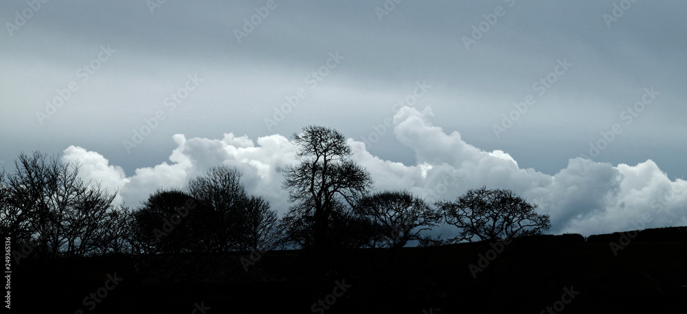 Fototapeta premium Coast and Countryside.