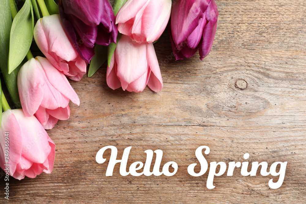 Beautiful flowers and text Hello Spring on wooden background Beautiful flowers and text Hello Spring on wooden background