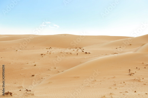 Picturesque landscape of sandy desert on hot day