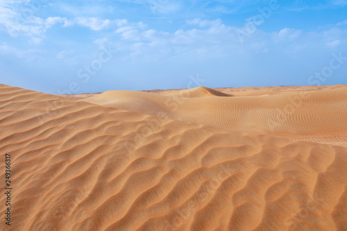 Fototapeta Naklejka Na Ścianę i Meble -  Picturesque landscape of sandy desert on hot day