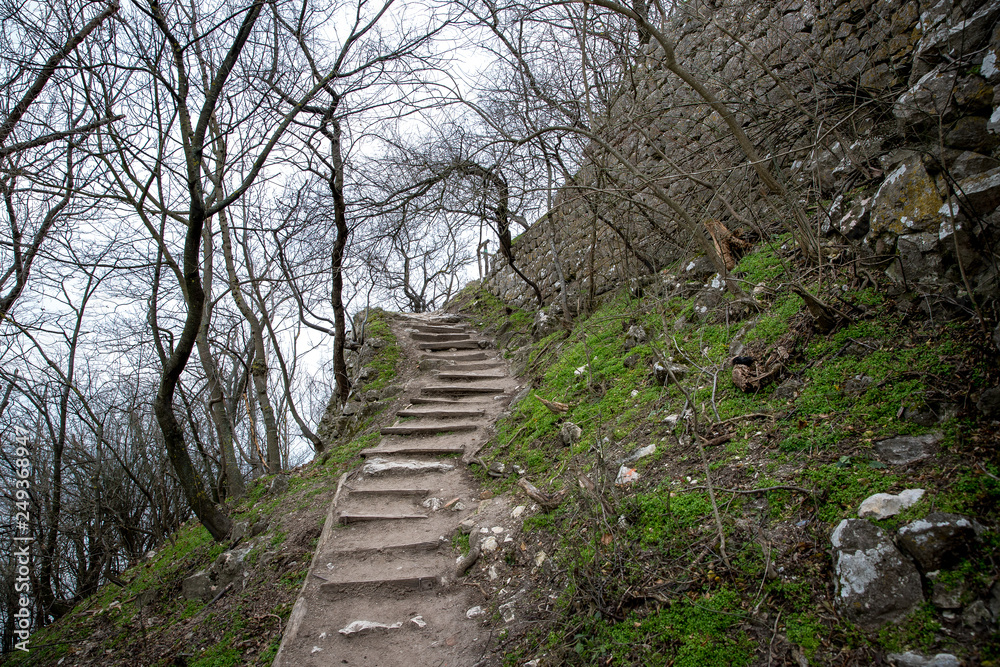 Obraz premium Forest rocky path leading up to the mountain in southern Moravia surrounding the abandoned castle Stony road full of trees