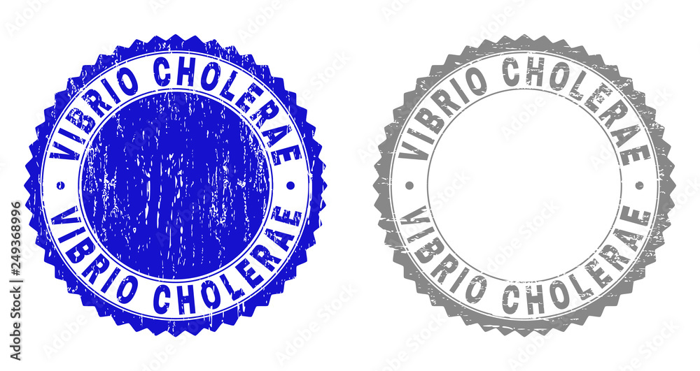 Grunge VIBRIO CHOLERAE stamp seals isolated on a white background. Rosette seals with grunge texture in blue and gray colors. Vector rubber watermark of VIBRIO CHOLERAE title inside round rosette.
