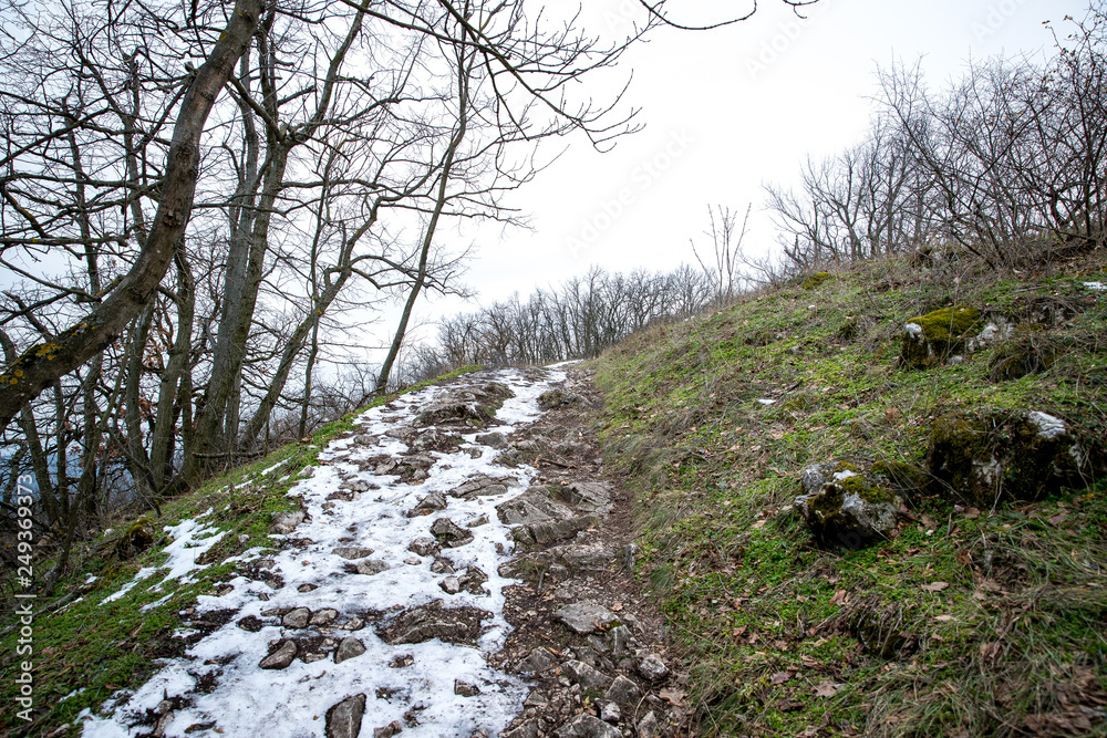 Forest rocky path leading up to the mountain in southern Moravia surrounding the abandoned castle Stony road full of trees Forest rocky path leading up to the mountain in southern Moravia surrounding the abandoned castle Stony road full of trees