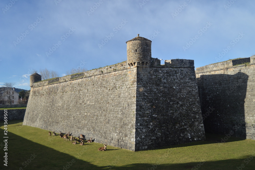Precious Walls Of The Citadel Decking In Jaca In Its Grass Pit There Is A Host Family Of Deer. Travel, Landscapes, Nature, Architecture. December 27, 2014. Jaca, Huesca, Aragon. Precious Walls Of The Citadel Decking In Jaca In Its Grass Pit There Is A Host Family Of Deer. Travel, Landscapes, Nature, Architecture. December 27, 2014. Jaca, Huesca, Aragon.