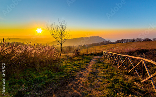 Footpath through a rural landscape at sunset, Gabicce Monte, Marche, Italy photo