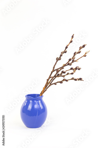 Willow catkins in blue vase isolated on white background, Happy Easter and spring concept with copy space