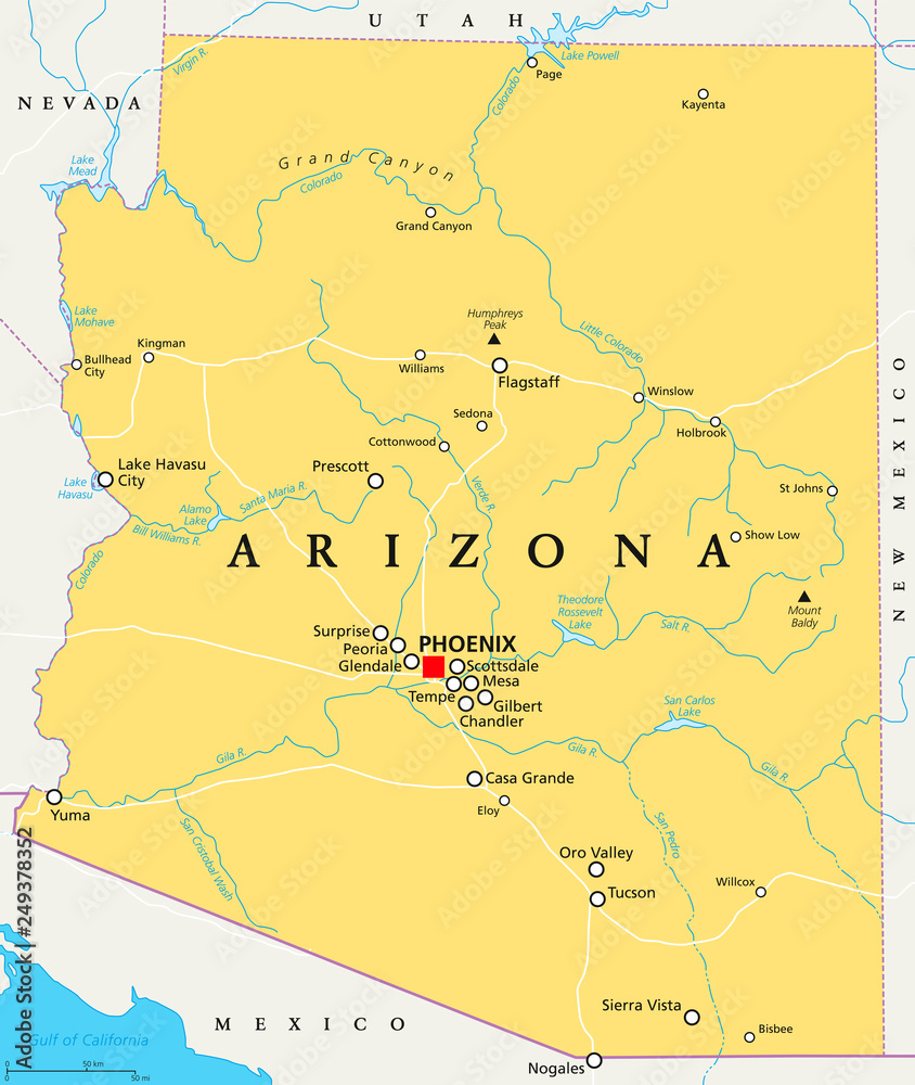 Arizona political map with capital Phoenix, important cities, rivers, lakes. State in southwestern region of United States, Part of Western and Mountain States. English labeling. Illustration. Vector.