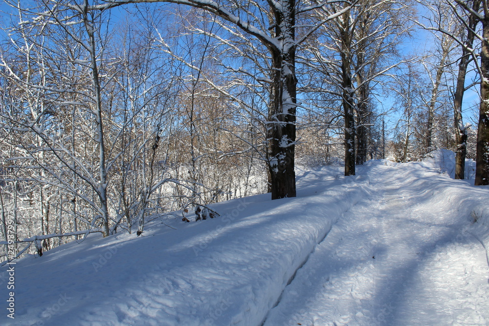 Fototapeta premium snowy road in winter forest