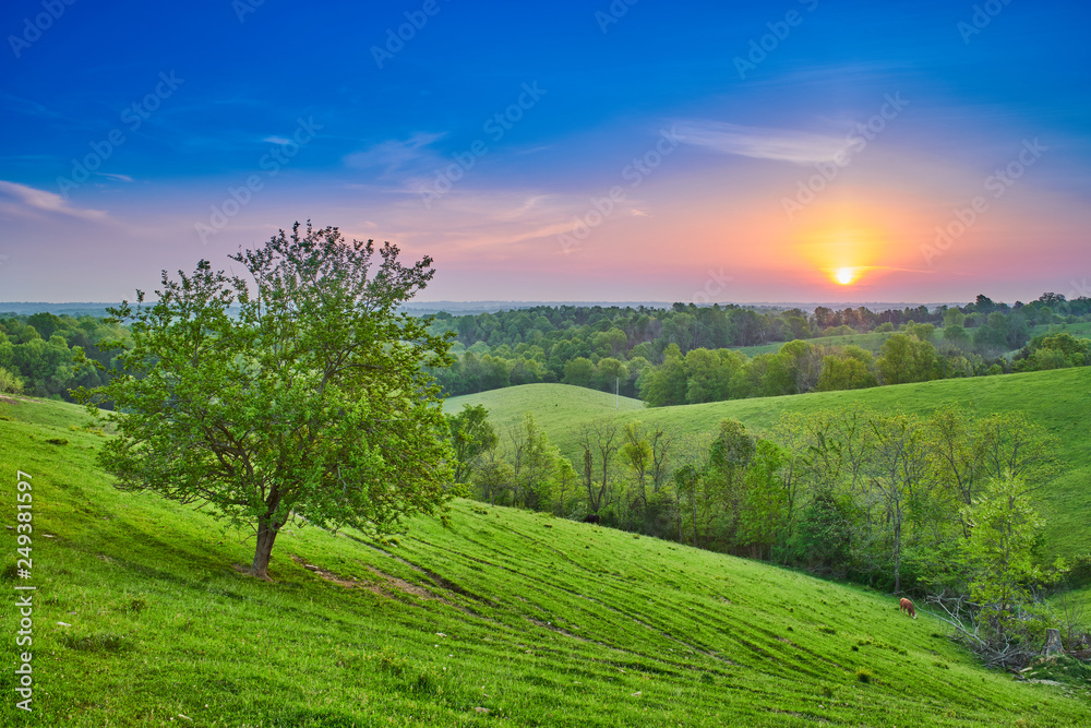 Obraz premium Sunrise Over Field with Tree