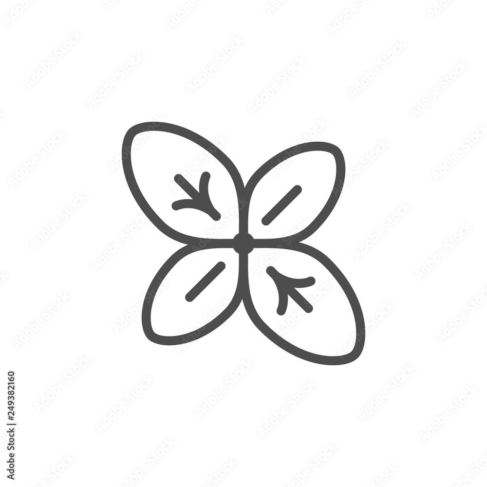 Fototapeta premium Basil line icon