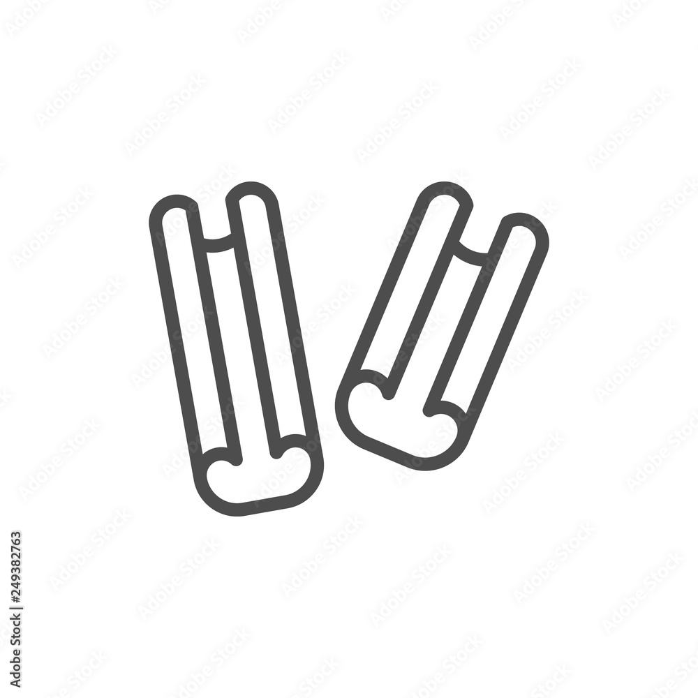 Cinnamon line icon