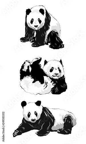 Set of panda silhouettes.