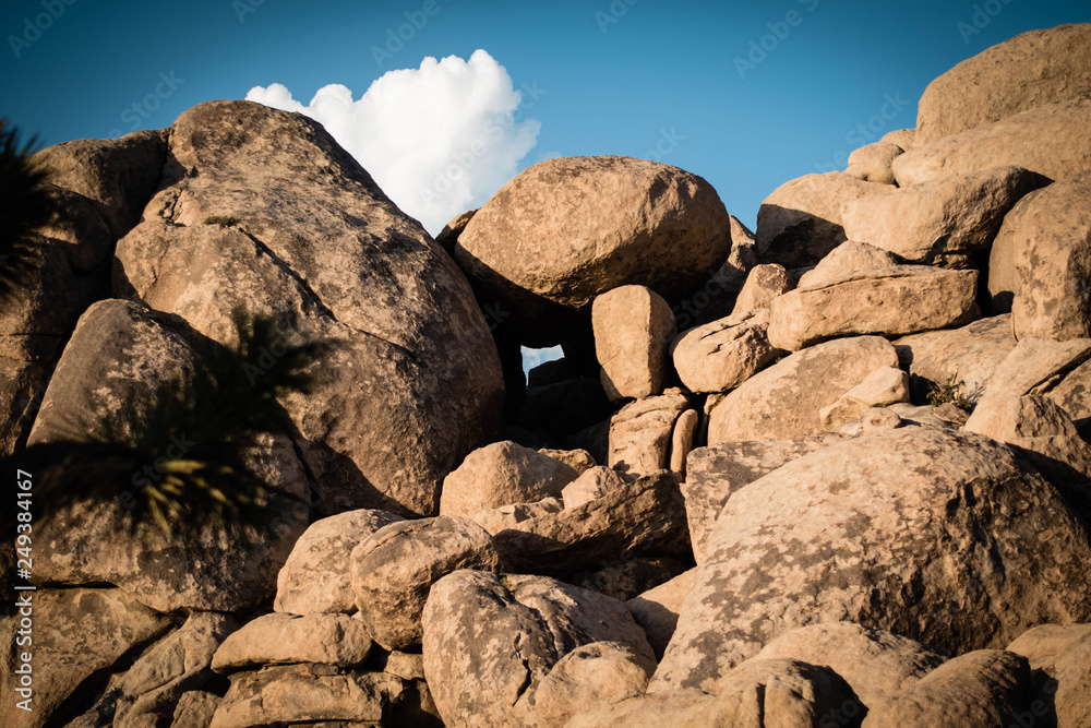 Rocks in Joshua Tree