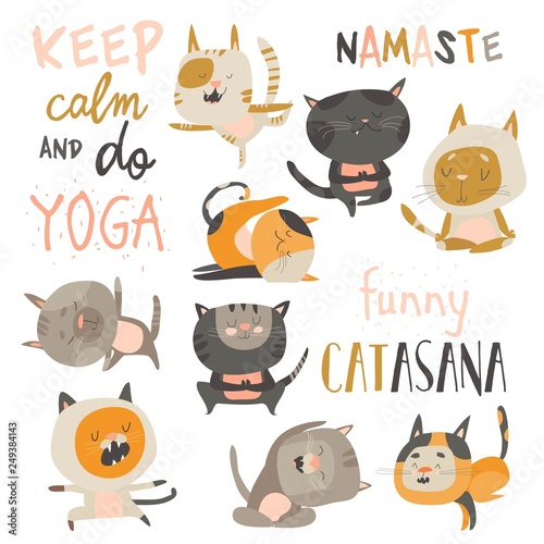 Set of cute cats in yoga asana postures