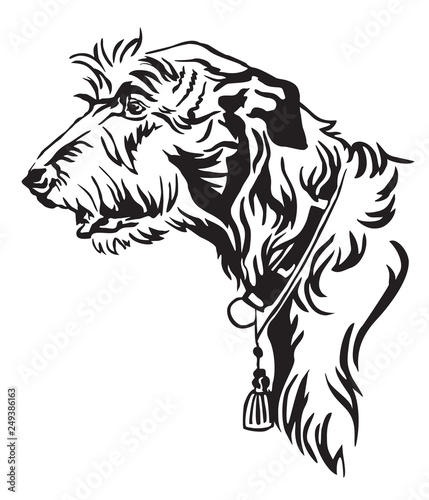 Decorative portrait of Dog Irish Wolfhound vector illustration photo
