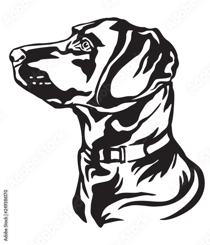 Decorative portrait of Dog Labrador Retriever vector illustration