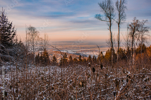 view over Harz Mountains National Park  Germany