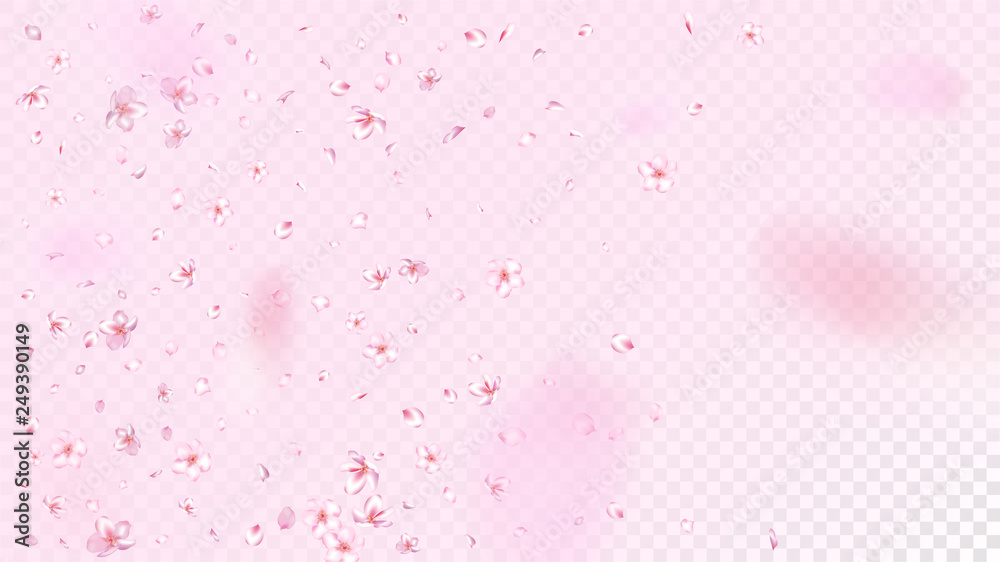 Nice Sakura Blossom Isolated Vector. Tender Falling 3d Petals Wedding Texture. Japanese Nature Flowers Illustration. Valentine, Mother's Day Tender Nice Sakura Blossom Isolated on Rose