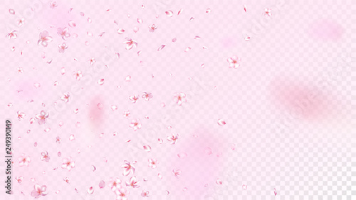 Nice Sakura Blossom Isolated Vector. Tender Falling 3d Petals Wedding Texture. Japanese Nature Flowers Illustration. Valentine, Mother's Day Tender Nice Sakura Blossom Isolated on Rose