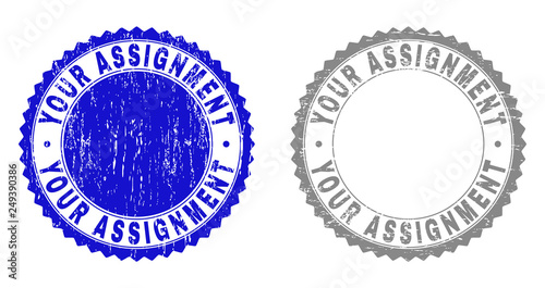 Grunge YOUR ASSIGNMENT stamp seals isolated on a white background. Rosette seals with grunge texture in blue and grey colors. Vector rubber overlay of YOUR ASSIGNMENT caption inside round rosette.