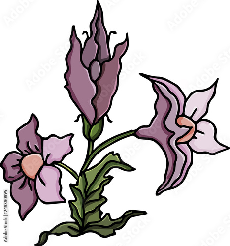 Flower vector illustration