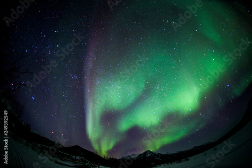 Obraz na plátne Northern  Lights