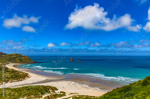New Zealand, South Island. Otago Peninsula, Sandfly Bay. There is Lion's Head Rock, rock formation behind