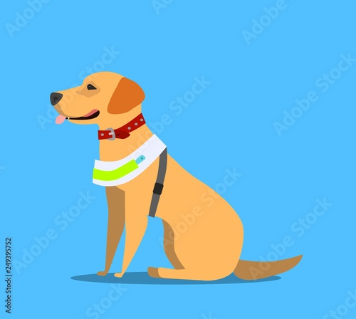Guide dog, specially trained seeing eye for a blind person, flat cartoon vector illustration isolated on white background.