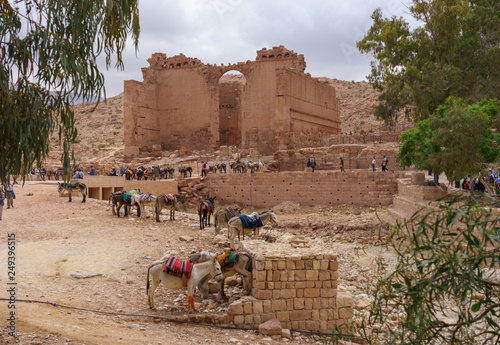 Donkeys for transporting tourists parked at Qasr Al-Bin in Petra, Jordan photo