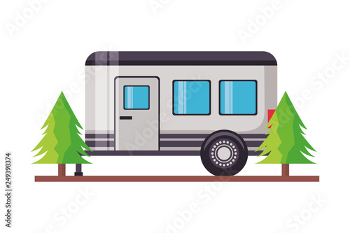 camper trailer trees