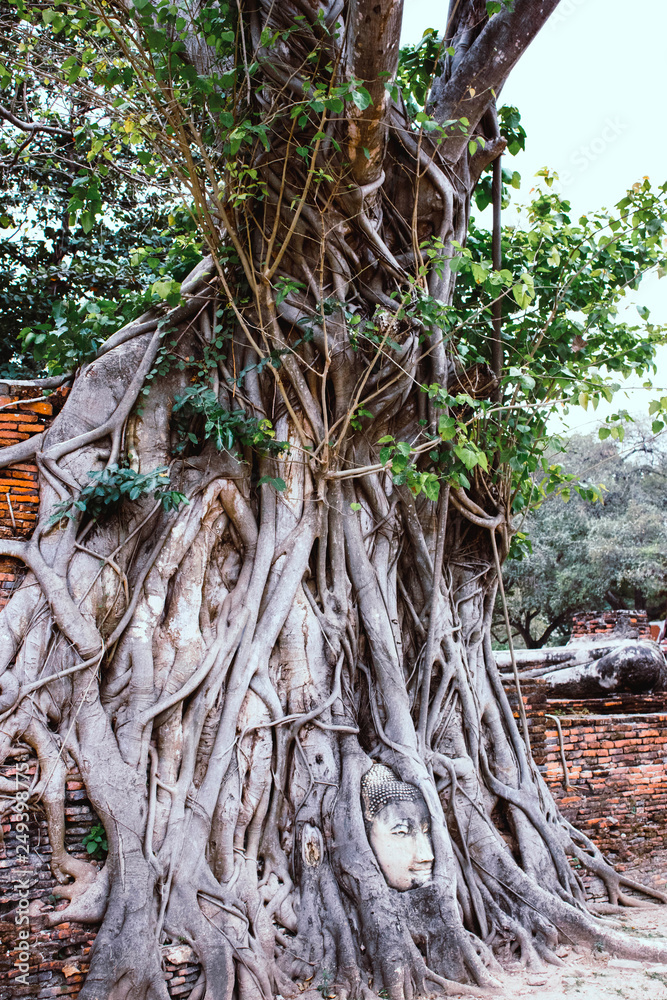 Wat Mahathat Temple in Ayutthaya, Thailand Wat Mahathat Temple in Ayutthaya, Thailand