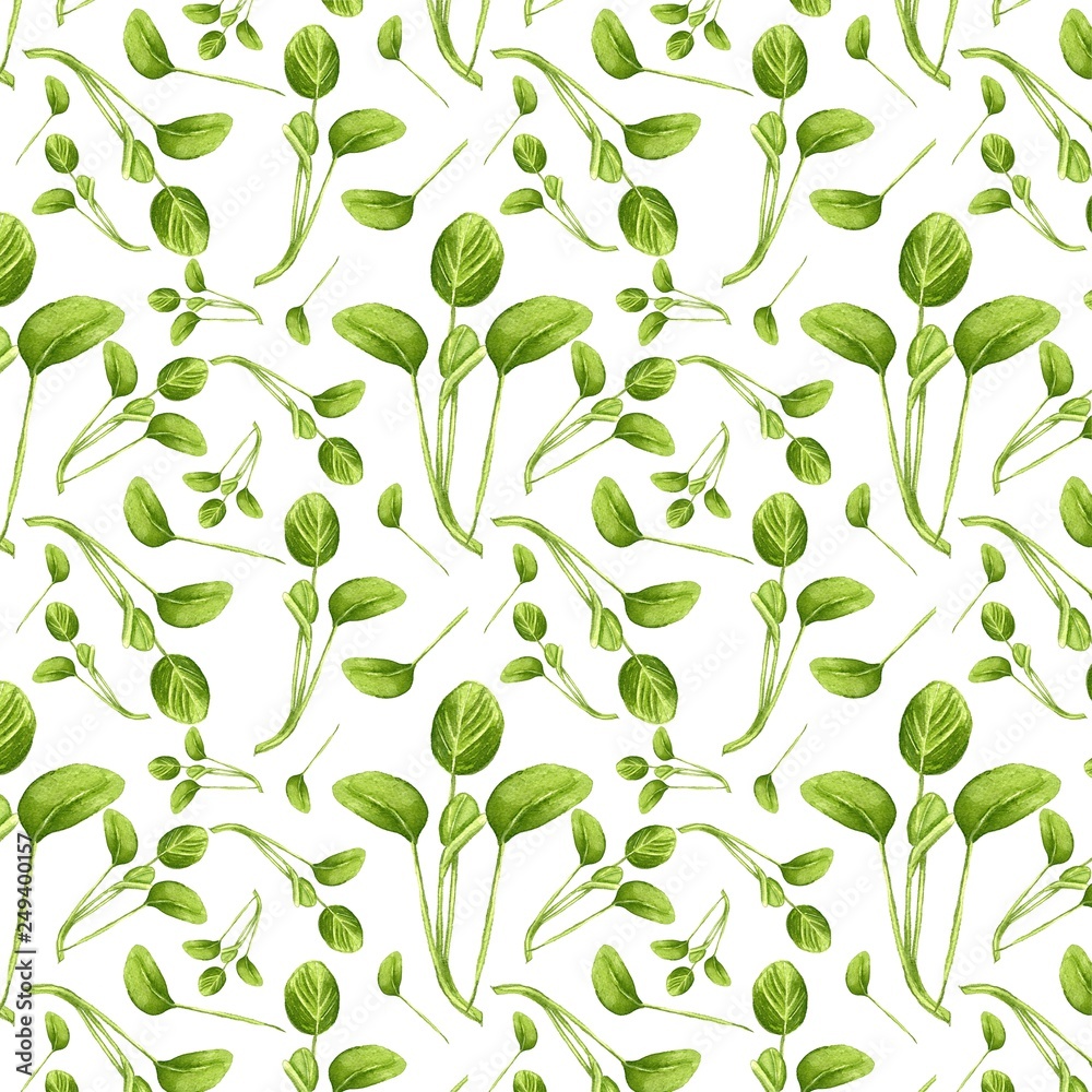 Tatsoi Microgreen - Hand Painted Watercolour Tatsoi Microgreen - Hand Painted Watercolour