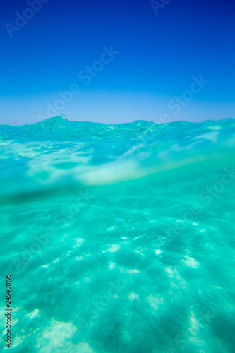 Tranquil underwater scene with copy space