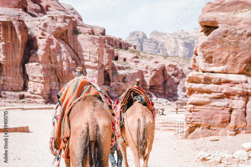 Escursione a Petra in Giordania © Jan Cattaneo