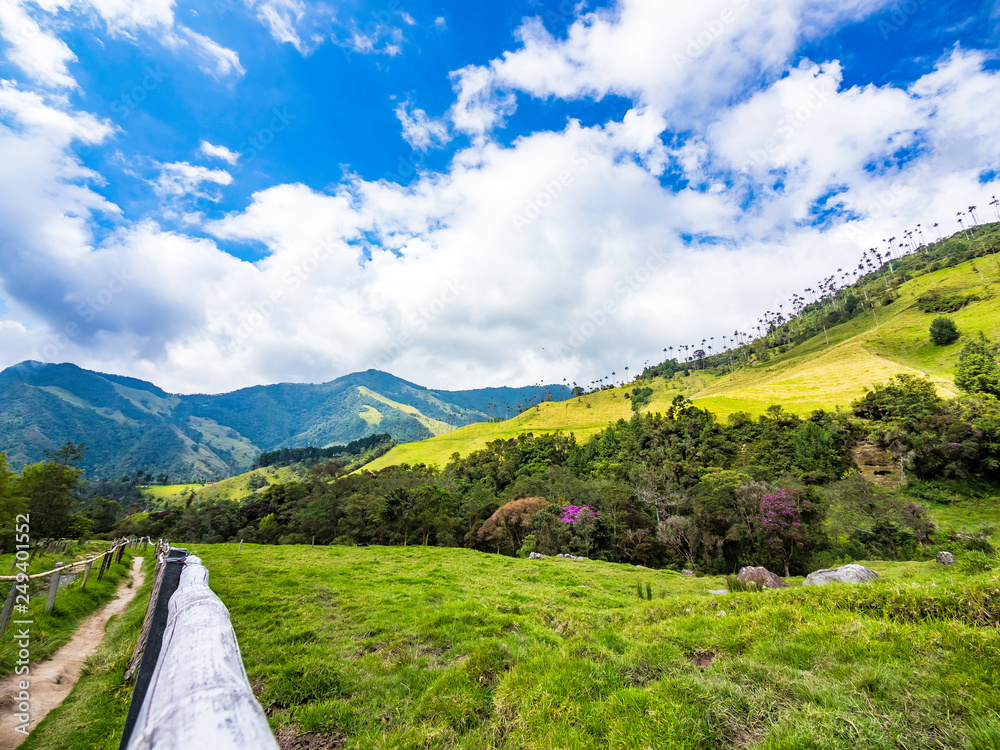Beautiful day hiking scenery of Cocora Valley in Salento, Colombia
