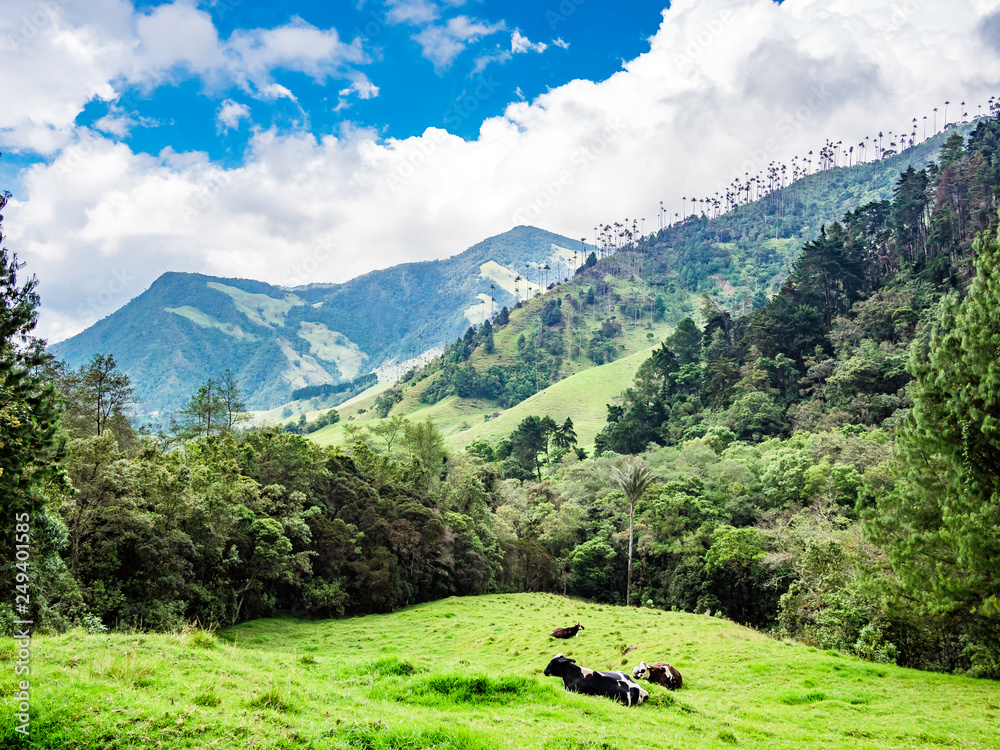 Beautiful mountainous scenery of Valle del Cocora in Salento, Colombia