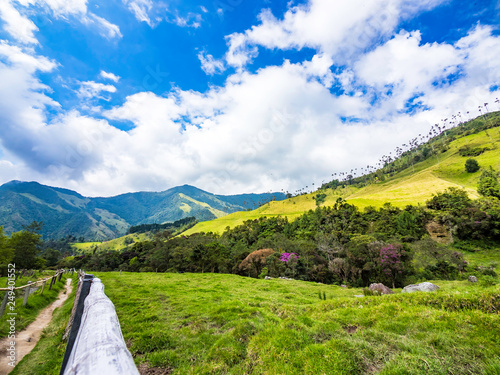 Obraz na płótnie Beautiful day hiking scenery of Cocora Valley in Salento, Colombia w salonie