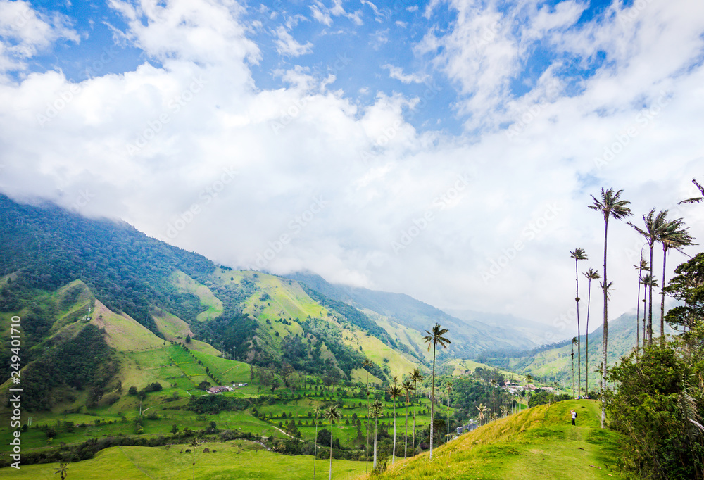 Beautiful day hiking scenery of Valle del Cocora in Salento, Colombia