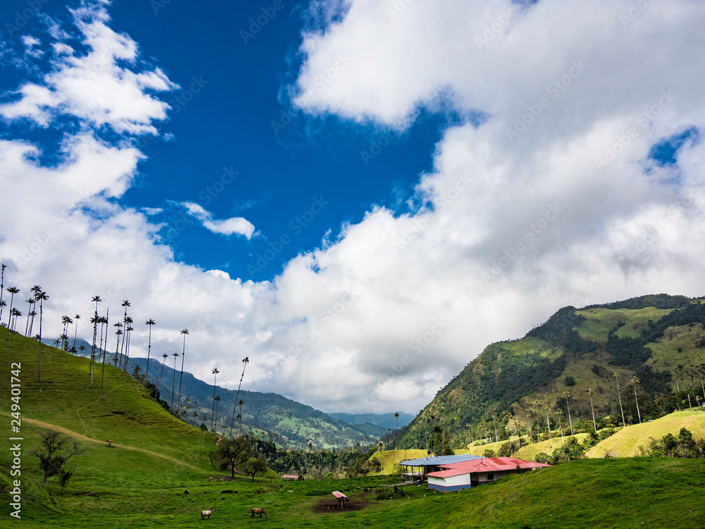 Beautiful day hiking scenery of Valle del Cocora in Salento, Colombia