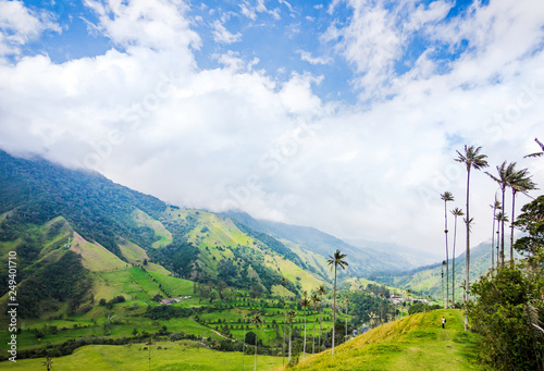 Obraz na płótnie Beautiful day hiking scenery of Valle del Cocora in Salento, Colombia w salonie