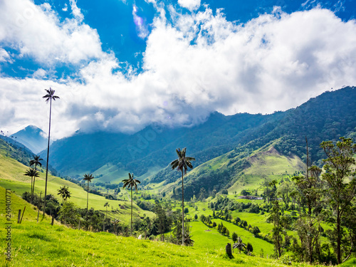 Beautiful day hiking scenery of Valle del Cocora in Salento, Colombia photo