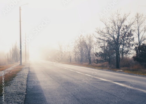 The road in fog. © Dmitro