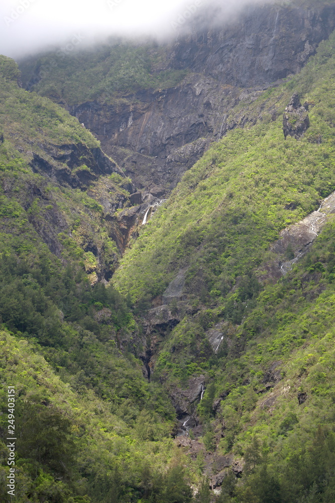 Obraz premium Au coeur d'une foret