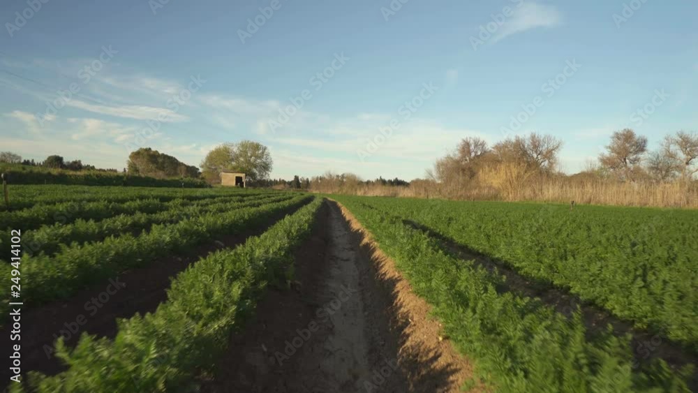Agriculture, grow agricultural harvest Agriculture, grow agricultural harvest
