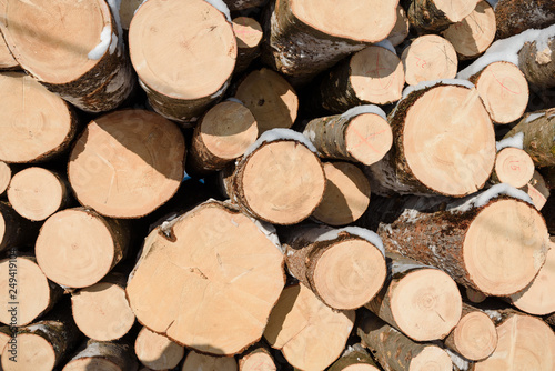 Wood logs in a stack. Cut trees in the stack. Many sawed trees. Warehouse wood.