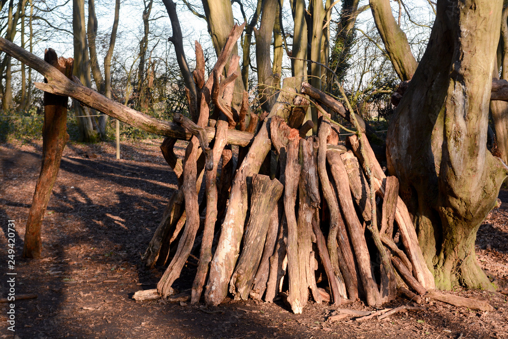 Dens or shelters made from logs and sticks in the forest Dens or shelters made from logs and sticks in the forest