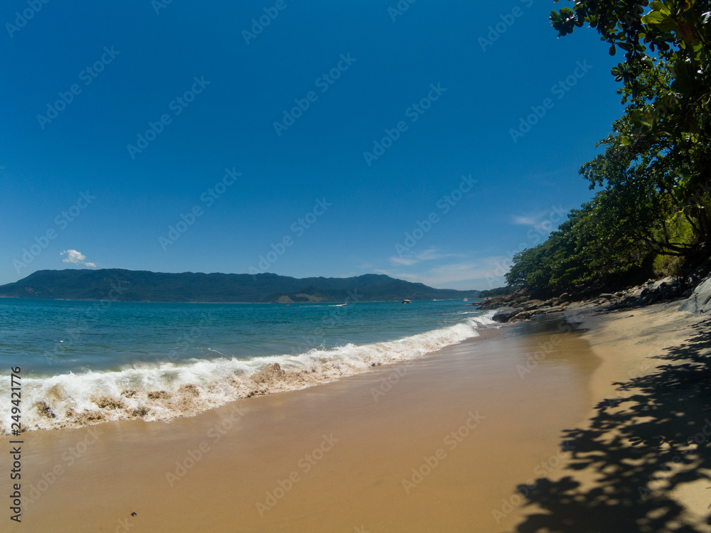 Fototapeta premium Beach and sea